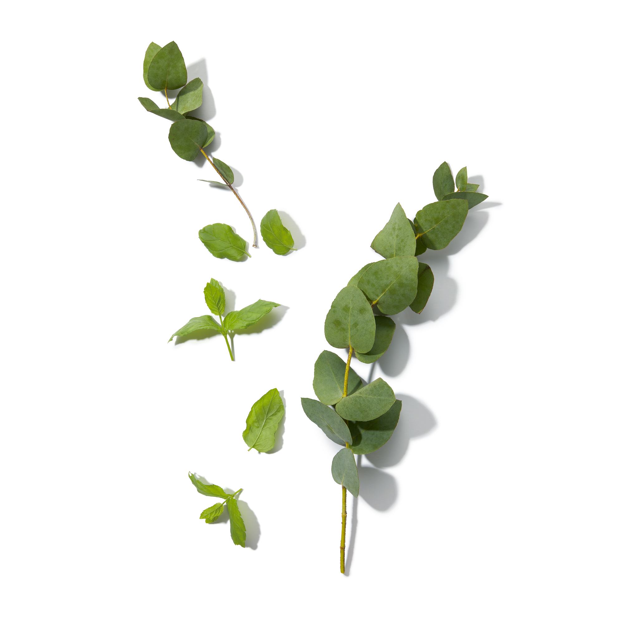 https://media-cdn.oriflame.vn/productImage?externalMediaId=product-management-media%2fProducts%2f46376%2f46376_2.png&MediaId=18479050&Version=2