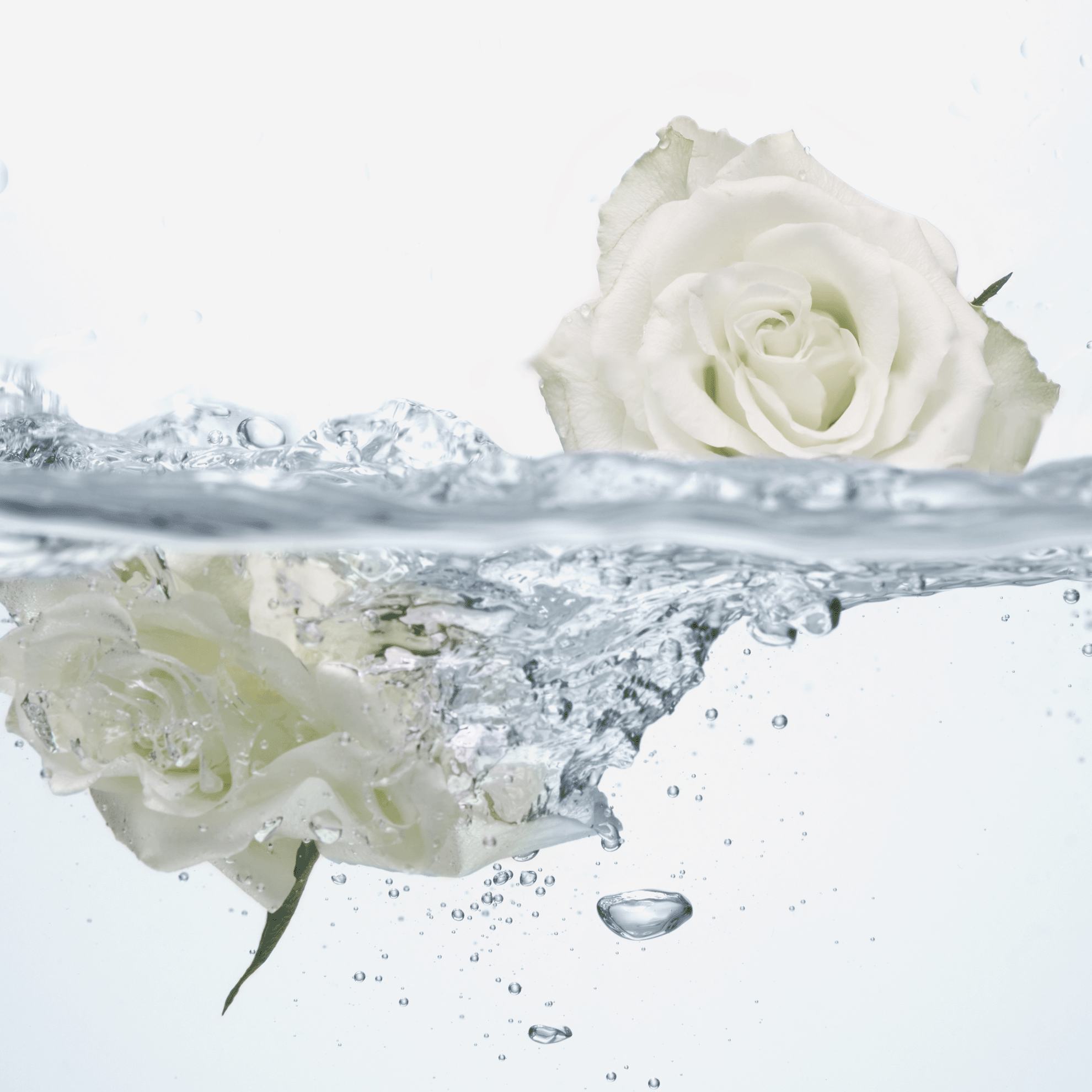 https://media-cdn.oriflame.vn/productImage?externalMediaId=product-management-media%2fProducts%2f47099%2f47099_4.png&MediaId=19466561&Version=1