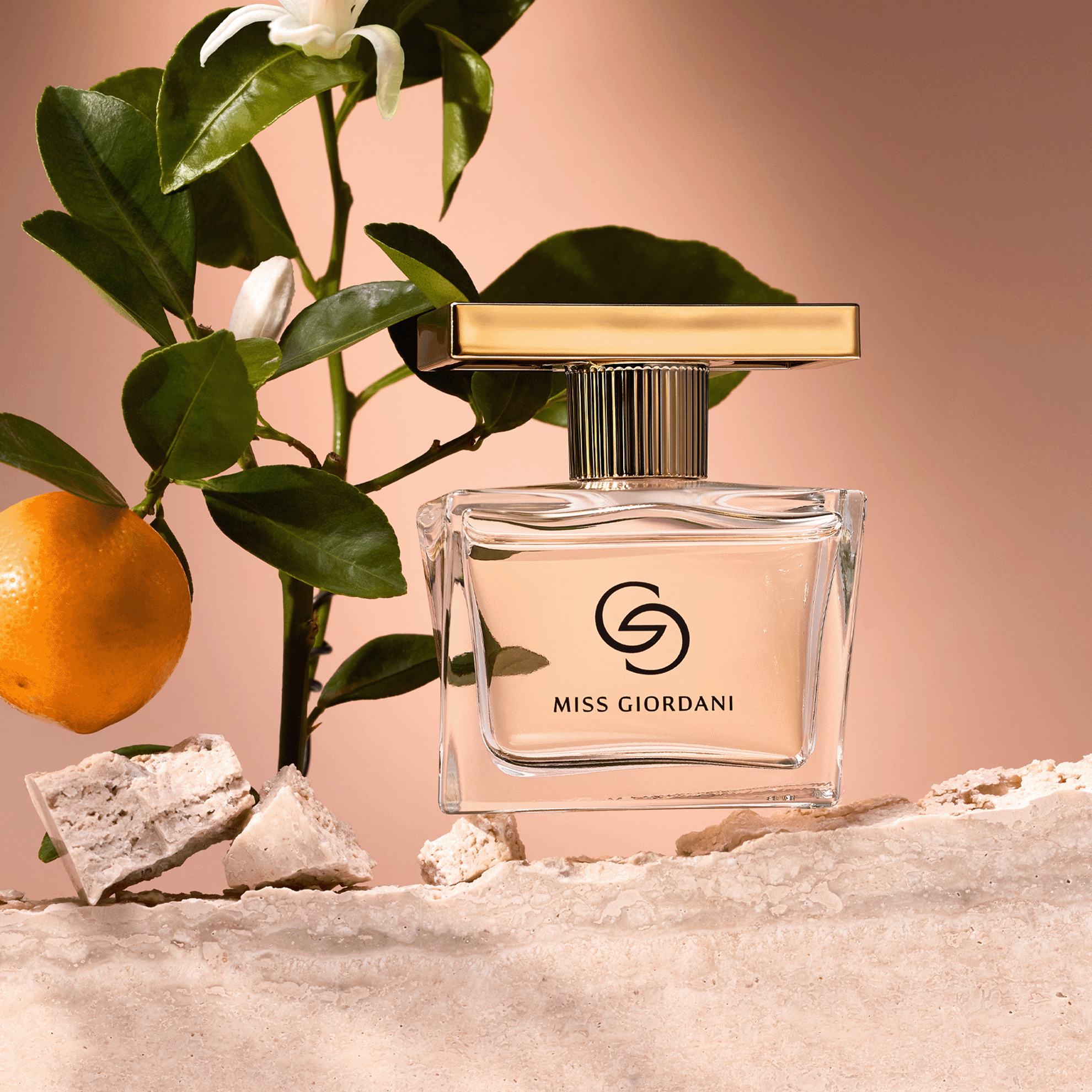https://media-cdn.oriflame.vn/productImage?externalMediaId=product-management-media%2fProducts%2f47513%2f47513_6.png&MediaId=19522804&Version=2