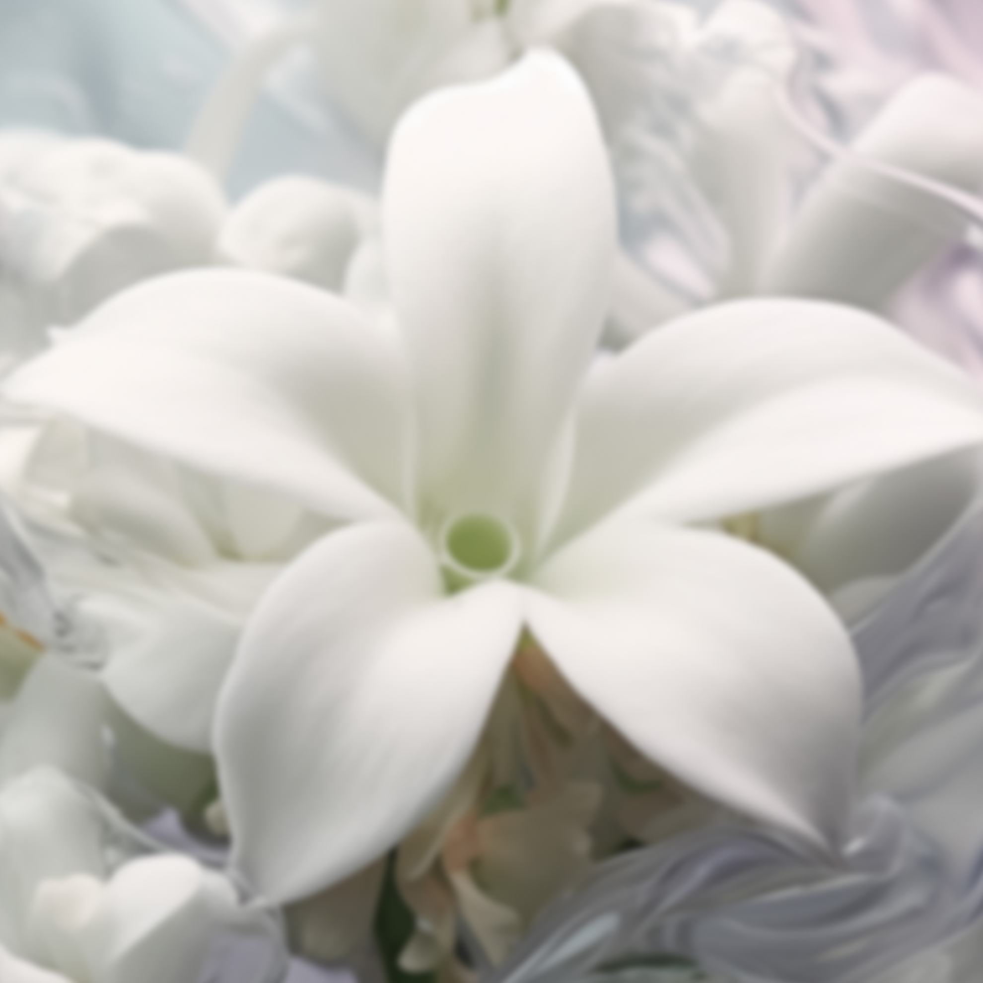 https://media-cdn.oriflame.vn/productImage?externalMediaId=product-management-media%2fProducts%2f46056%2f46056_6.png&id=18837733&version=6