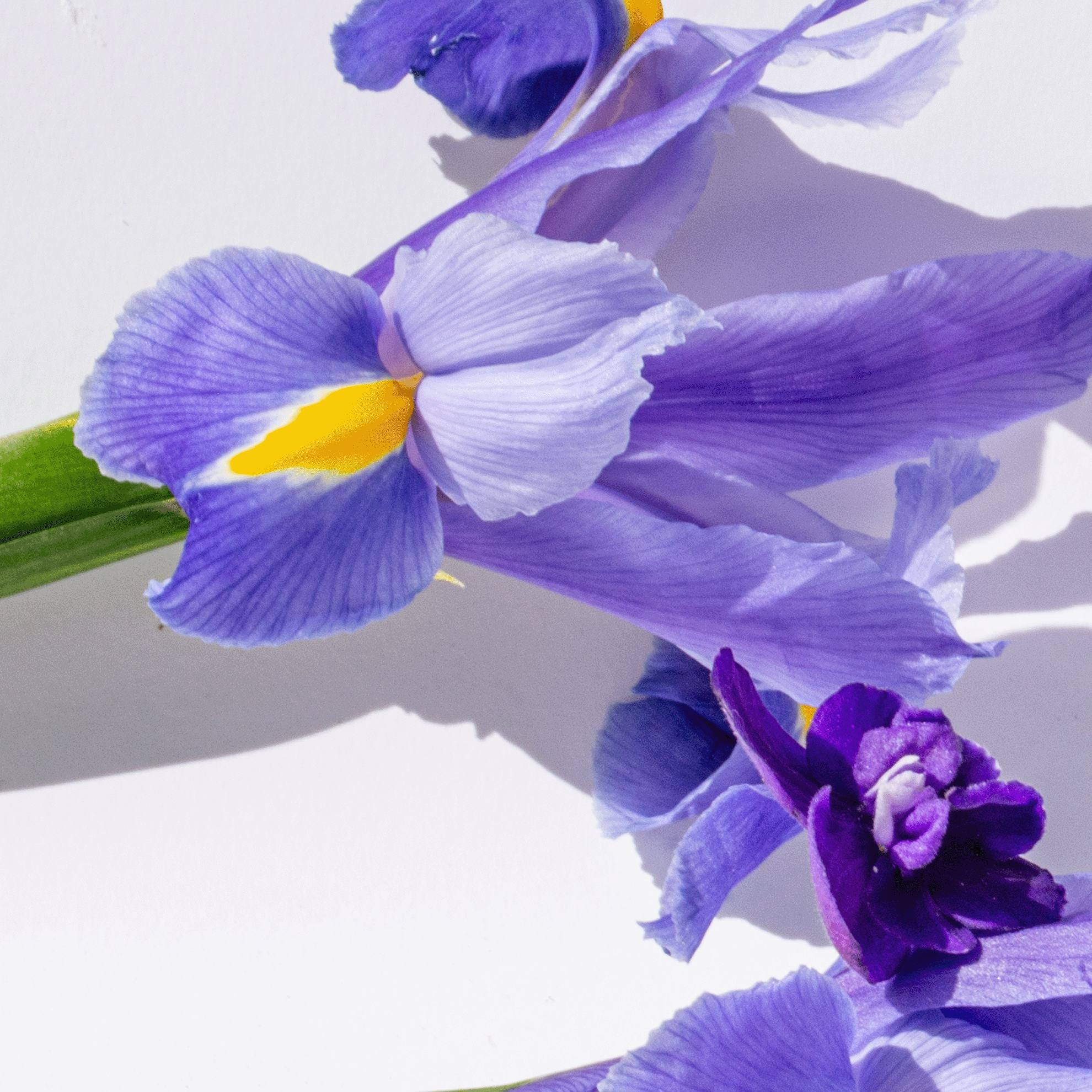 https://media-cdn.oriflame.vn/productImage?externalMediaId=product-management-media%2fProducts%2f46043%2f46043_6.png&MediaId=18976597&Version=3