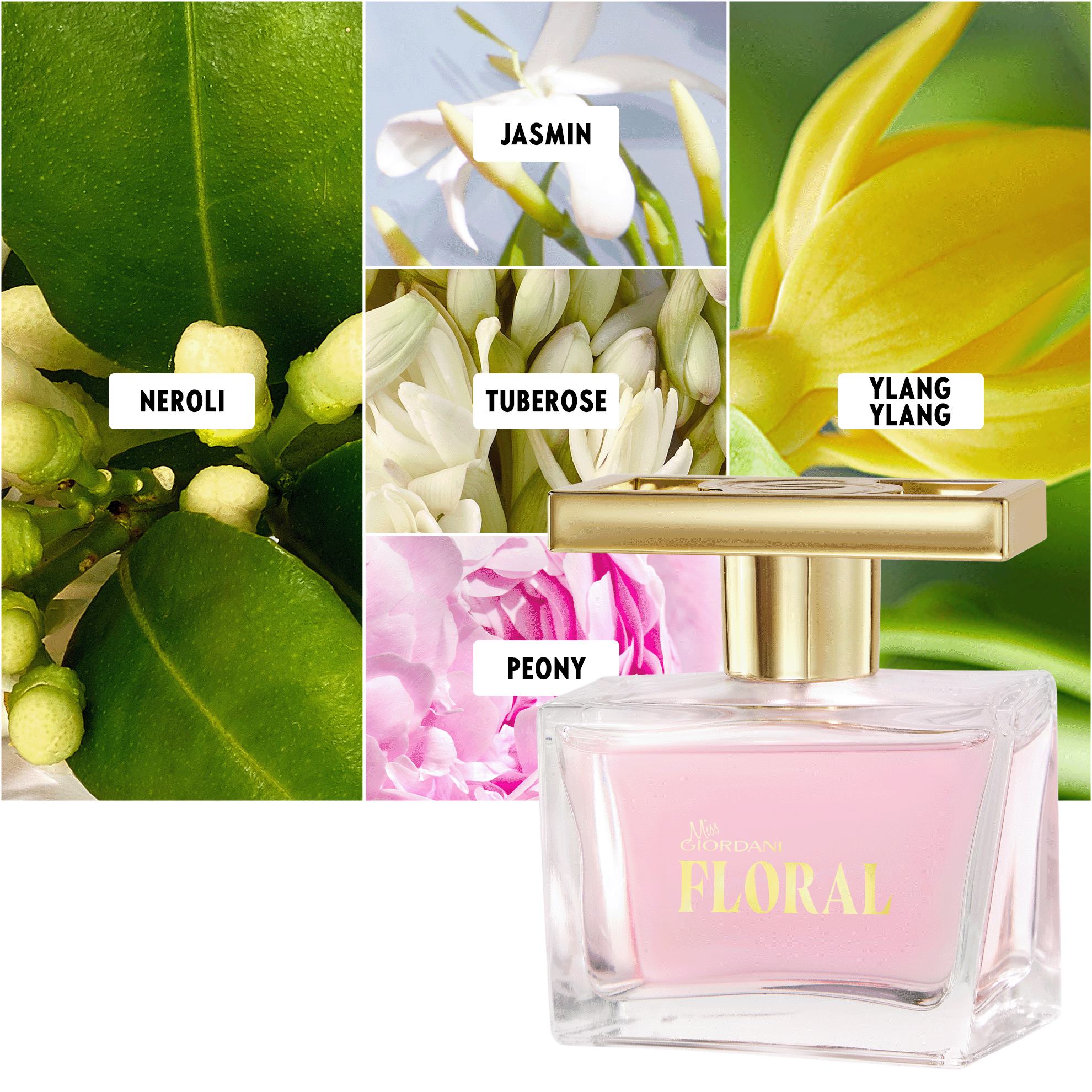https://media-cdn.oriflame.vn/productImage?externalMediaId=product-management-media%2fProducts%2f46718%2f46718_4.png&MediaId=18201779&Version=2